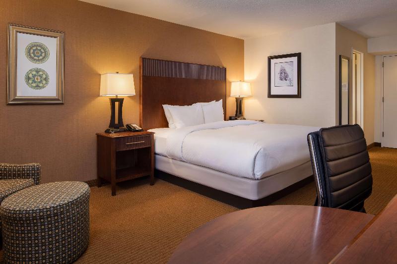 带大床的套房, Doubletree By Hilton Philadelphia Airport