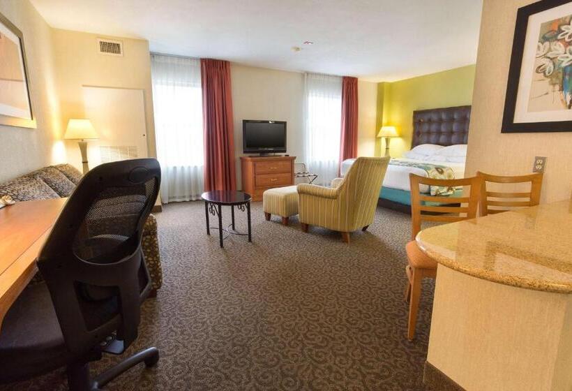キングサイズベッドのデラックスルーム, Drury Inn & Suites Mcallen