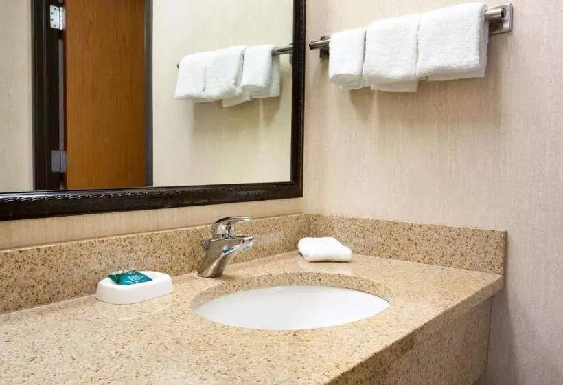اتاق لوکس با تخت بزرگ, Drury Inn & Suites Mcallen