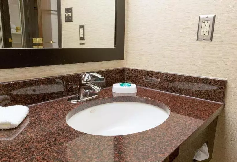 اتاق سوپریور با تخت بزرگ, Drury Inn & Suites Mcallen