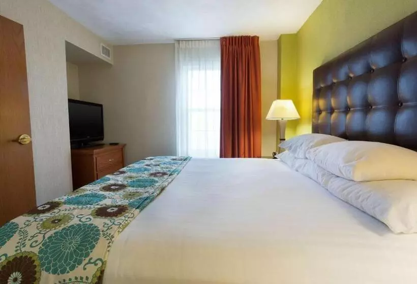 استودیو استاندارد با تخت کینگ, Drury Inn & Suites Mcallen