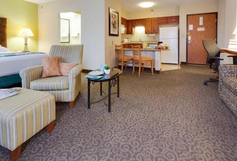 キングサイドベッドのスタンダードワンルーム, Drury Inn & Suites Mcallen