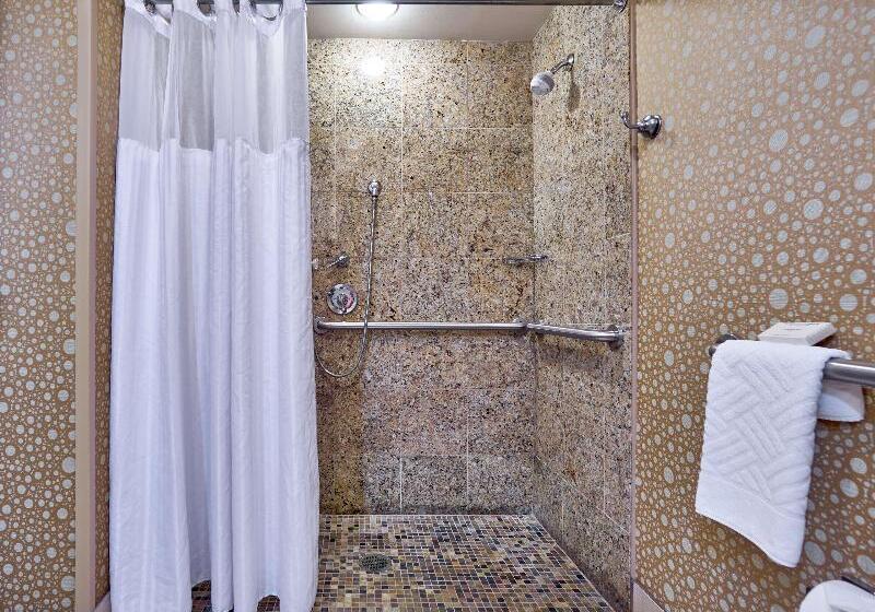 带大床的标准间, Hilton Knoxville