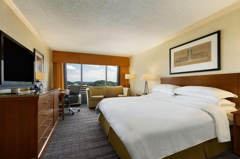 Standard Szoba King Size Bed, Hilton Knoxville