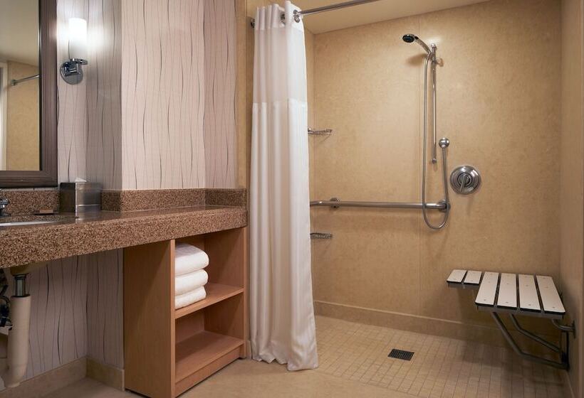 غرفة قياسية سرير مزدوج لذوى الإحتياجات الخاصة, Hilton Los Angeles Airport