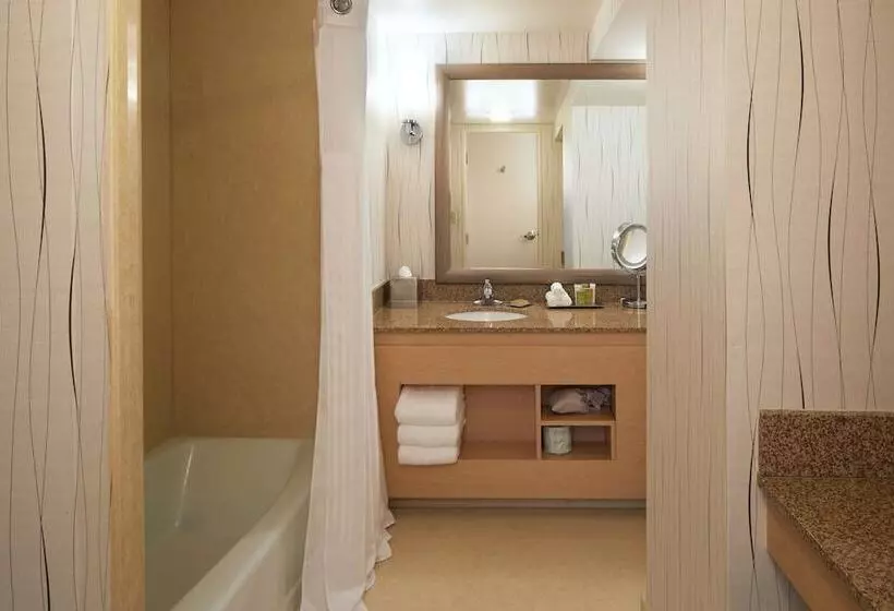 Deluxe-huone Soveltuu Liikuntarajoitteisille, Hilton Los Angeles Airport