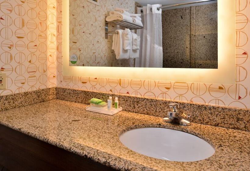 Номер Стандарт, Holiday Inn Hotel & Suites Rochester   Marketplace, An Ihg