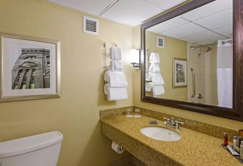 اتاق استاندارد با 2 تخت دوبل, Houston Marriott West Loop By The Galleria