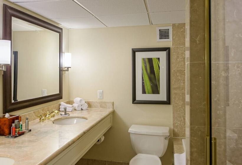 חדר סטנדרט שתי מיטות זוגיות, Houston Marriott West Loop By The Galleria