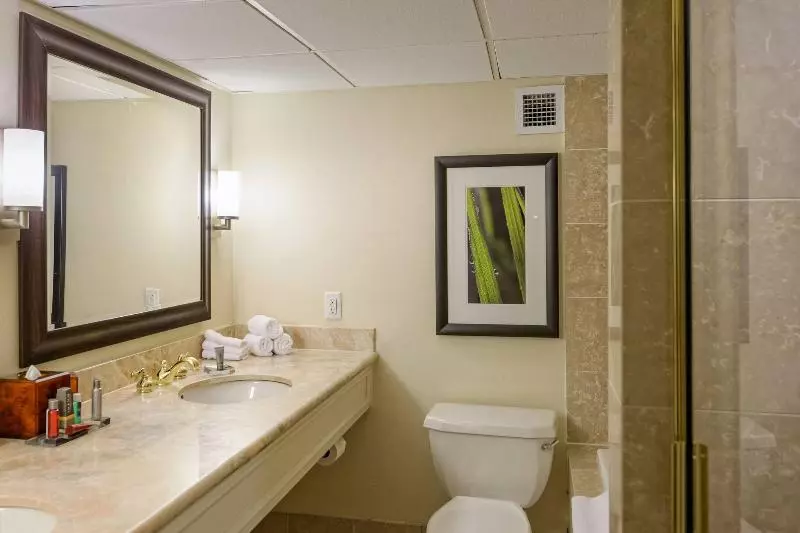 اتاق استاندارد با تخت بزرگ, Houston Marriott West Loop By The Galleria