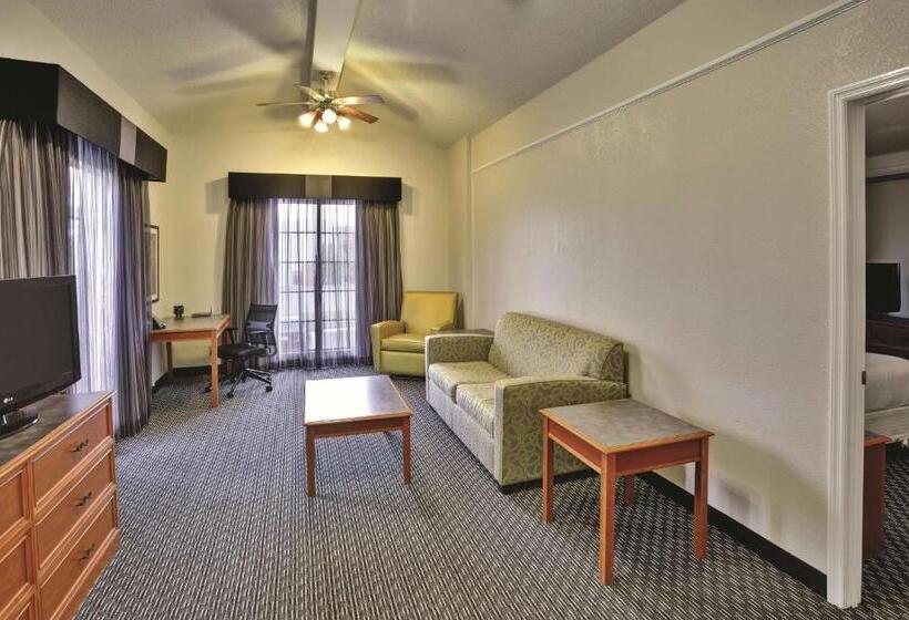 带大床的套房, La Quinta Inn By Wyndham Nashville South