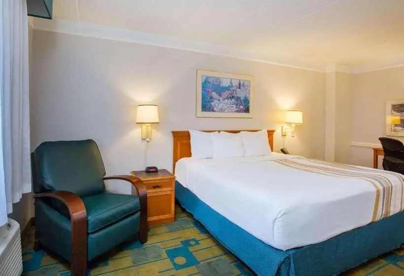 キングサイズベッドのデラックスルーム, La Quinta Inn By Wyndham Norfolk Virginia Beach