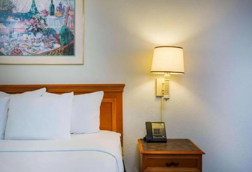 キングサイズベッドのスイートルーム, La Quinta Inn By Wyndham Norfolk Virginia Beach