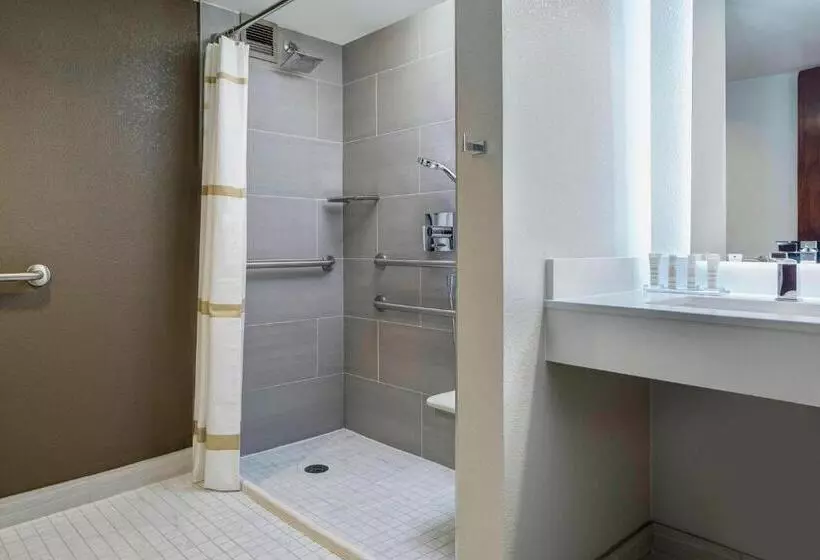 اتاق استاندارد با تخت بزرگ, Marriott Albuquerque