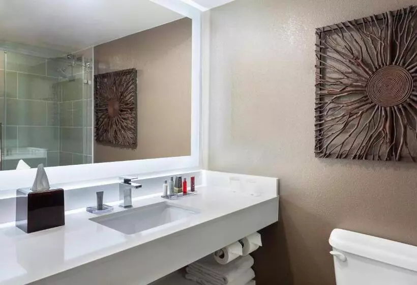 اتاق استاندارد با تخت بزرگ, Marriott Albuquerque