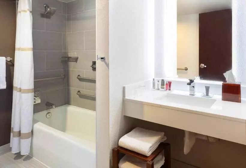 اتاق استاندارد با تخت بزرگ, Marriott Albuquerque