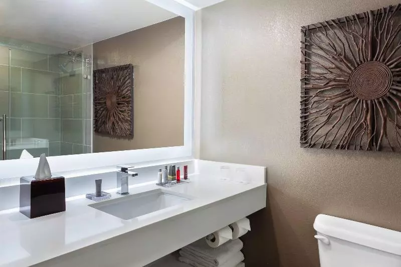 اتاق استاندارد با تخت بزرگ, Marriott Albuquerque