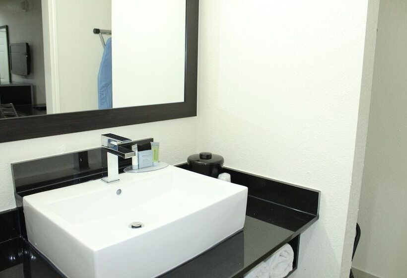 Номер Стандарт 2 Двуспальные Кровати, Stay Express Inn Dallas   Fair Park / Downtown