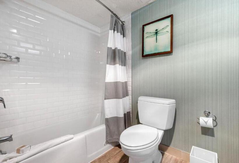 Standard Stúdiószoba Franciaággyal King Size, Omni Hilton Head Oceanfront Resort