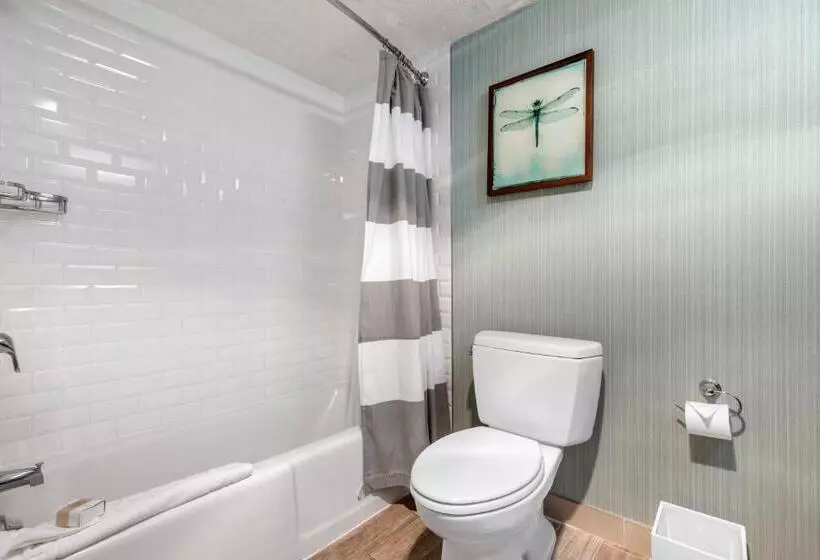 استودیو استاندارد با تخت کینگ, Omni Hilton Head Oceanfront Resort