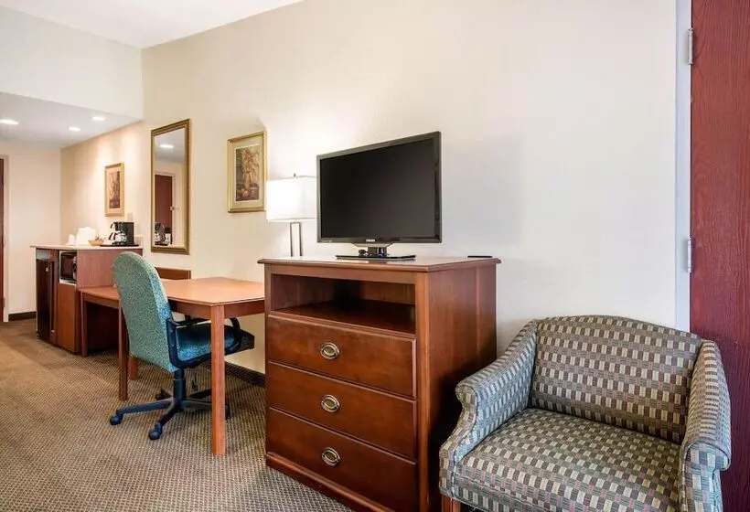 Standard-huone 2 Parivuodetta, Quality Inn & Suites Tarpon Springs South