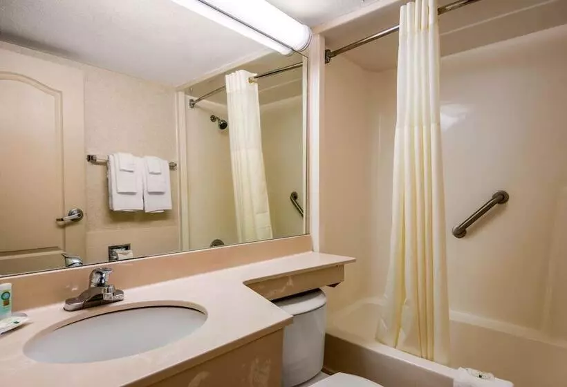 Standard-huone 2 Parivuodetta, Quality Inn & Suites Tarpon Springs South