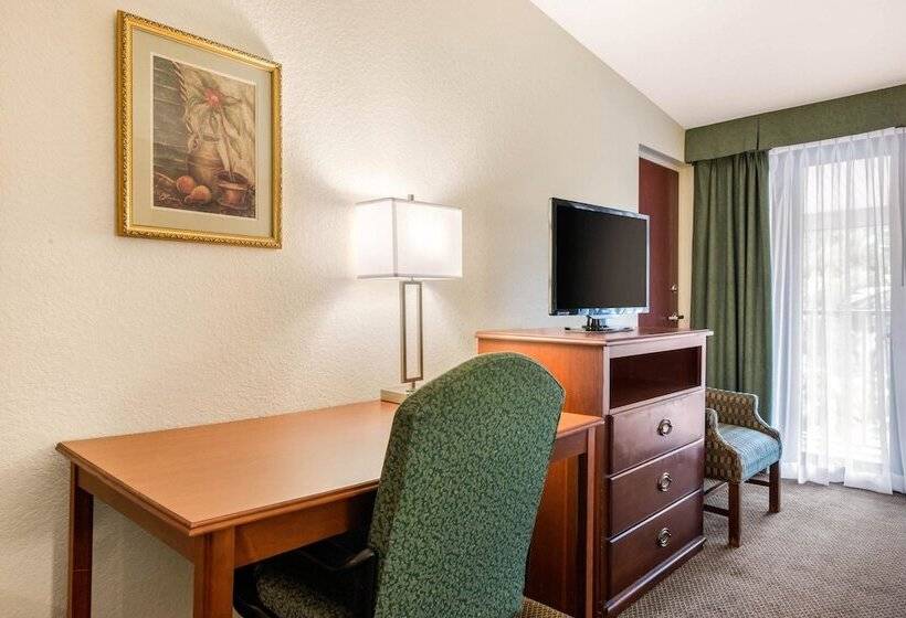 Номер Стандарт 2 Двуспальные Кровати, Quality Inn & Suites Tarpon Springs South