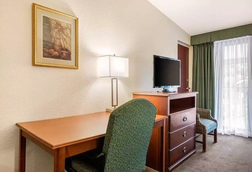 Standard-huone 2 Parivuodetta, Quality Inn & Suites Tarpon Springs South