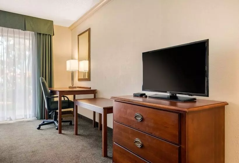 Sviitti, Quality Inn & Suites Tarpon Springs South