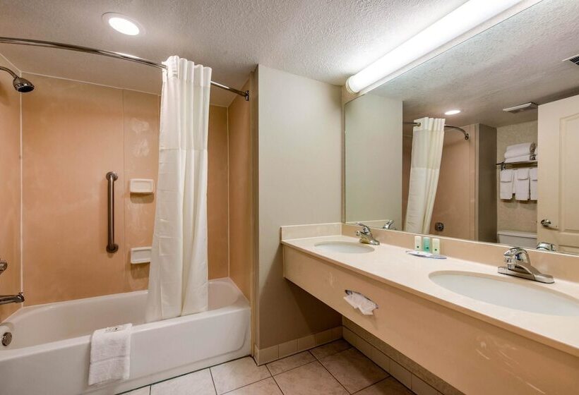 Люкс, Quality Inn & Suites Tarpon Springs South