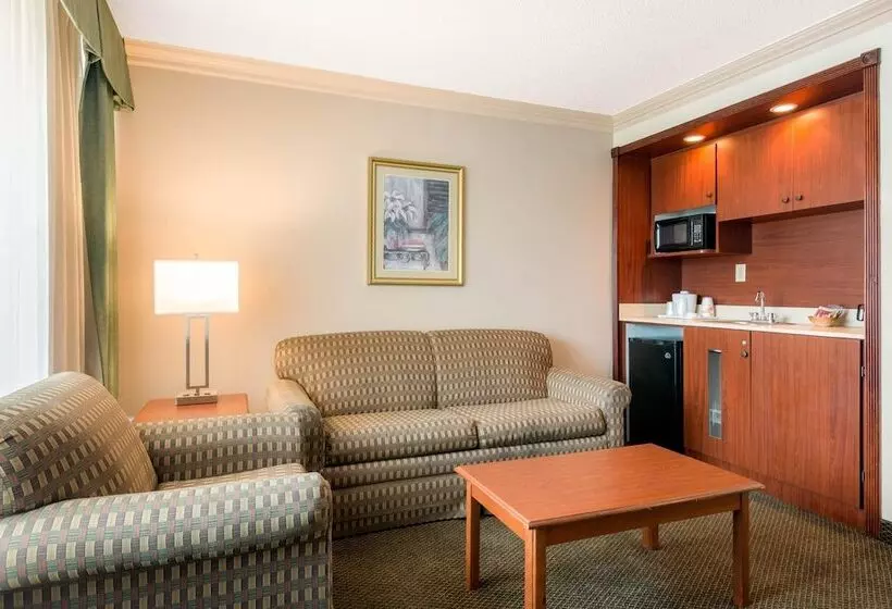 Sviitti, Quality Inn & Suites Tarpon Springs South