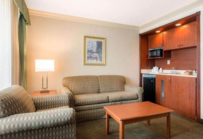 Люкс, Quality Inn & Suites Tarpon Springs South