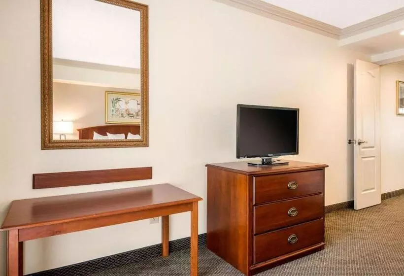 Sviitti King-vuode, Quality Inn & Suites Tarpon Springs South