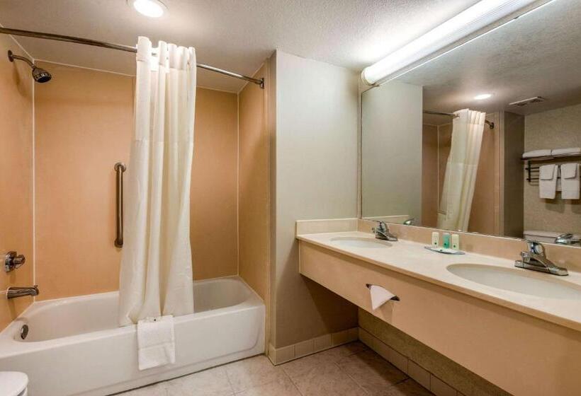 جناح سرير كينج, Quality Inn & Suites Tarpon Springs South