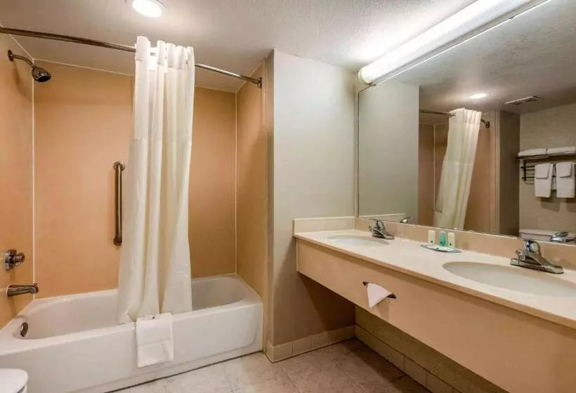 Sviitti King-vuode, Quality Inn & Suites Tarpon Springs South