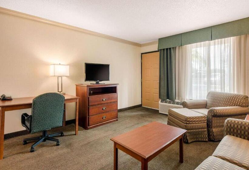 Люкс Кровать Кинг, Quality Inn & Suites Tarpon Springs South