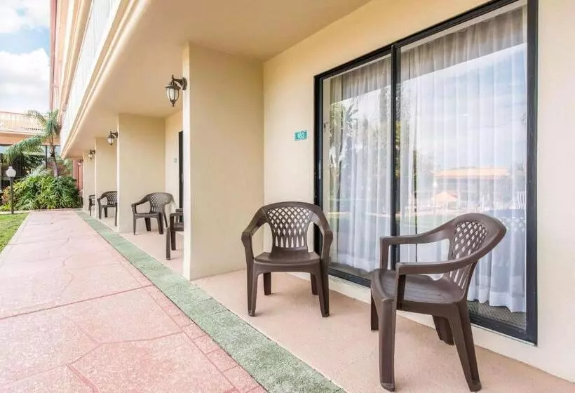 Sviitti King-vuode, Quality Inn & Suites Tarpon Springs South
