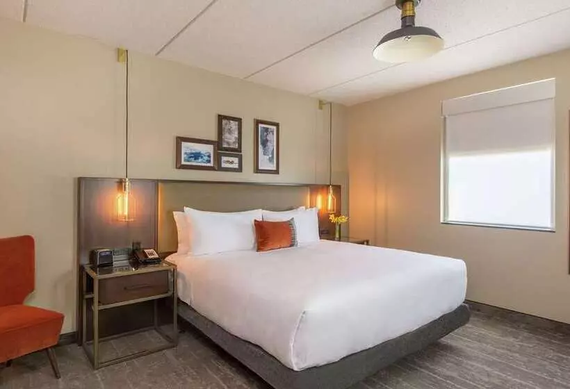 Standard-huone, Hilton Chicago/oak Brook Hills Resort & Conference Center