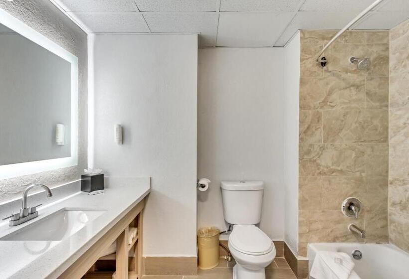 חדר סטנדרט עם מיטת קינג, Clarion Inn Salt Lake City Airport