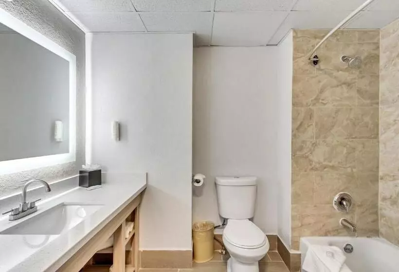 اتاق استاندارد با تخت بزرگ, Clarion Inn Salt Lake City Airport