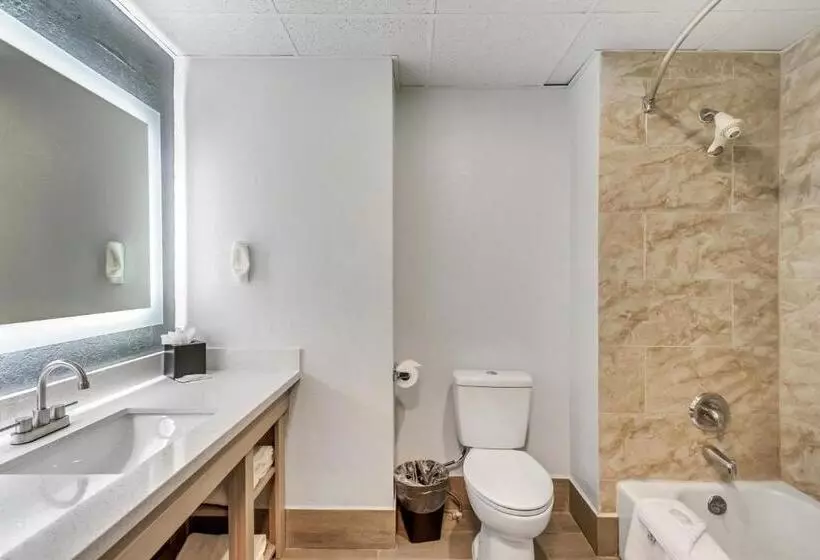 اتاق استاندارد با تخت بزرگ, Clarion Inn Salt Lake City Airport