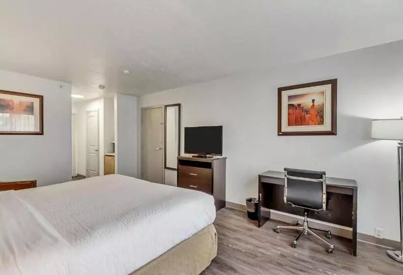 اتاق استاندارد با تخت بزرگ, Clarion Inn Salt Lake City Airport