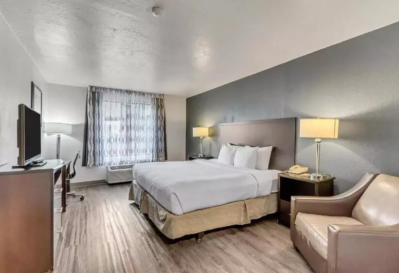 اتاق استاندارد با تخت بزرگ, Clarion Inn Salt Lake City Airport
