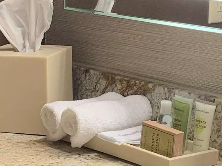 ２ダブルベッドのスタンダードルーム, Doubletree By Hilton San Antonio Airport