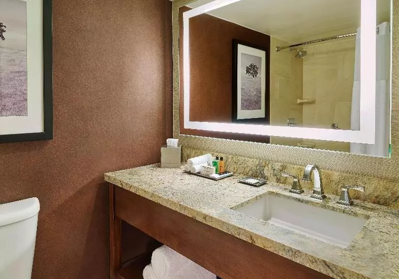 キングサイズベッドのスイートルーム, Doubletree By Hilton San Antonio Airport