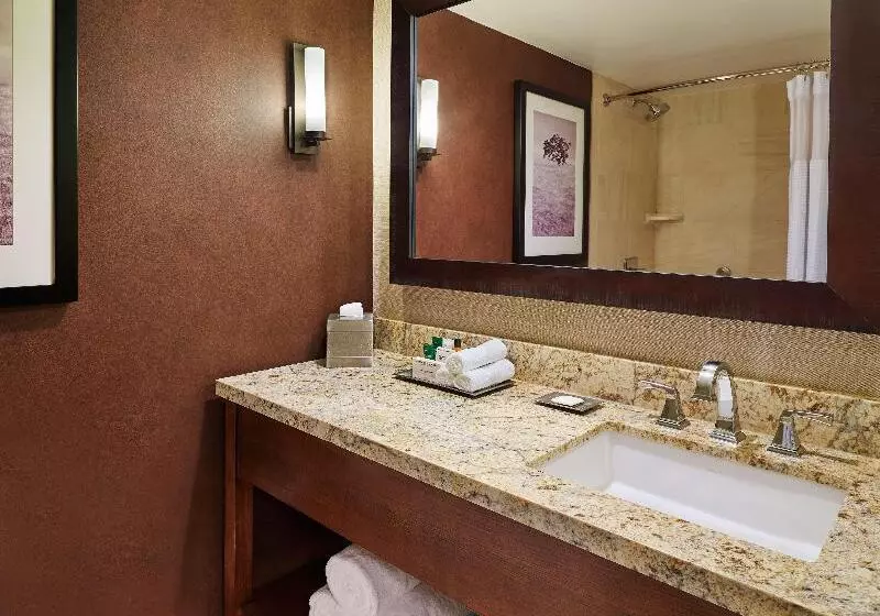 スタンダードルーム, Doubletree By Hilton San Antonio Airport