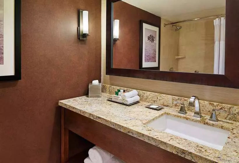 スタンダードルーム, Doubletree By Hilton San Antonio Airport