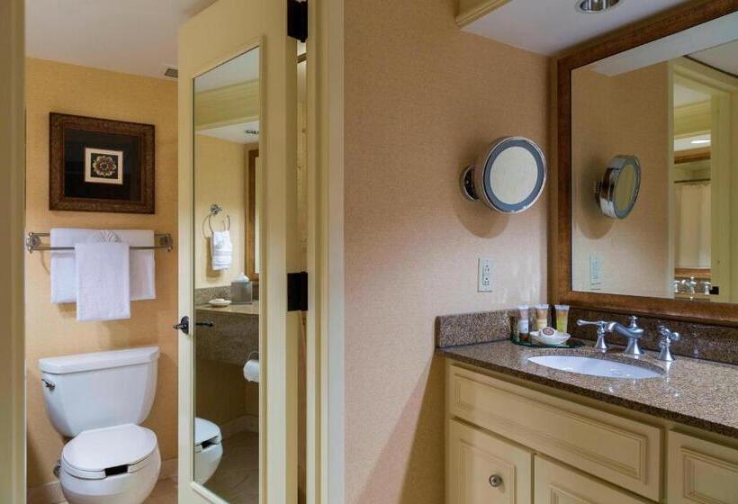 اتاق استاندارد با چشمانداز, Gaylord Opryland Resort & Convention Center