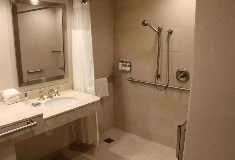 身障者適用キングサイズベッドルーム, Gaylord Opryland Resort & Convention Center