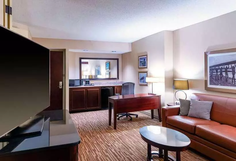 スイート, Homewood Suites By Hilton San Diego Central